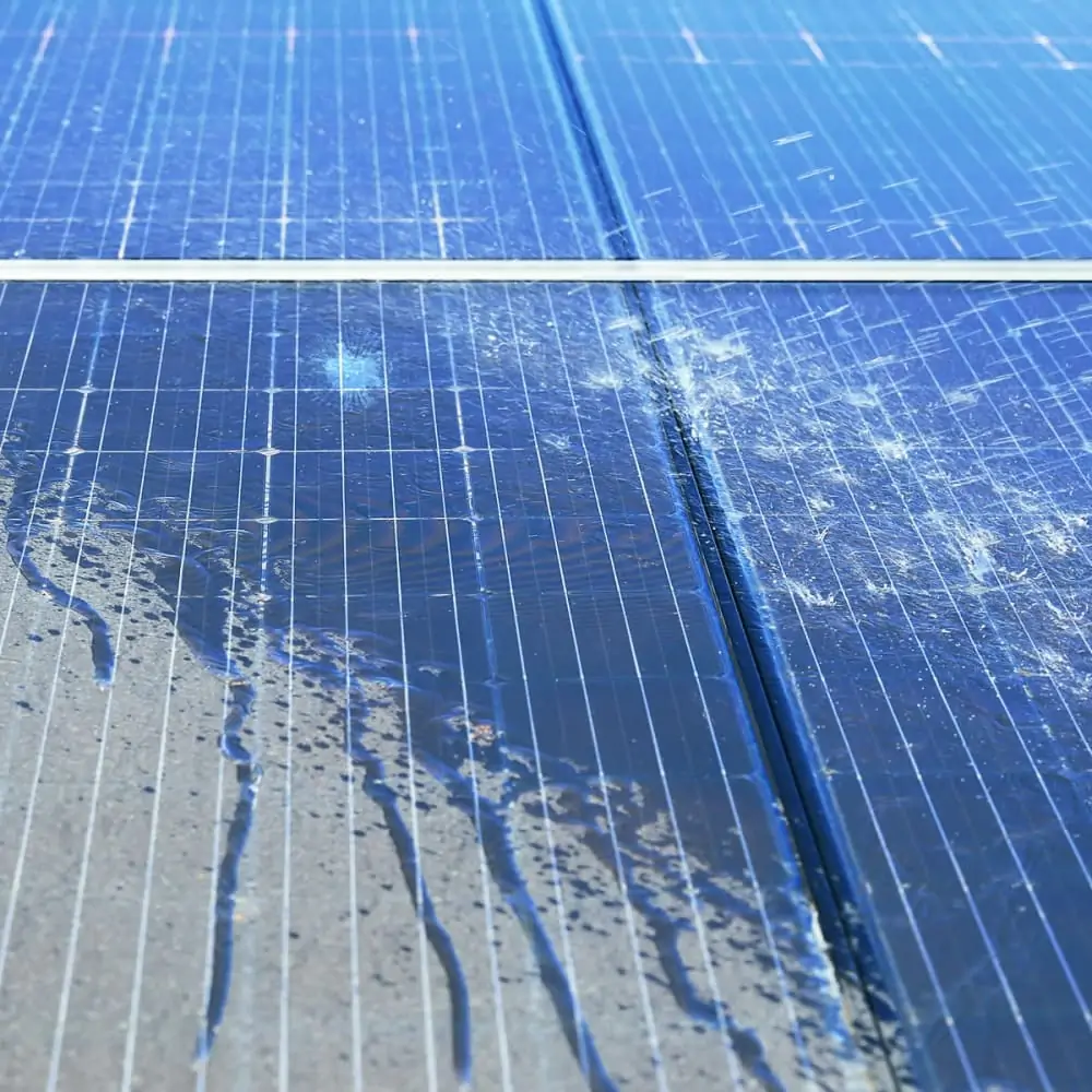 photovoltaik-panel-reinigung